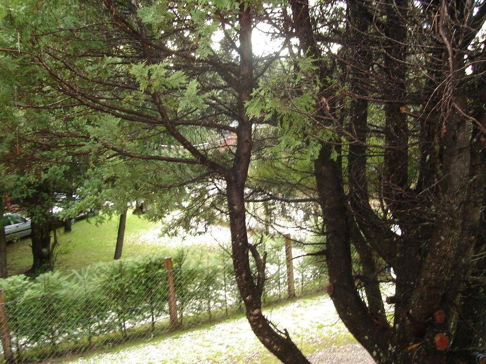 Tinsel'S House Villa Сан Карлос де Барилоче Екстериор снимка